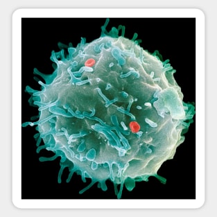 Stem cell, SEM (G442/0451) Sticker